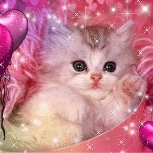 Meet your Posher, Harmony